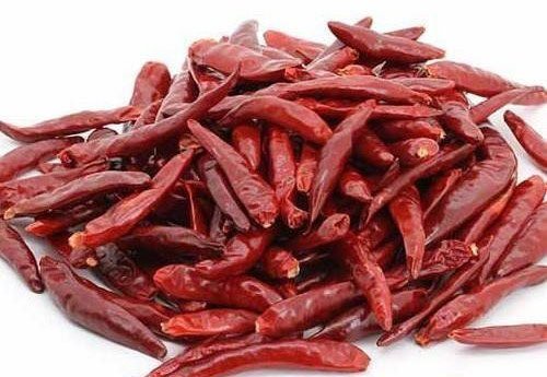 Red Chilly at Rs 90/kilogram, Fresh Red Chilli in Guntur