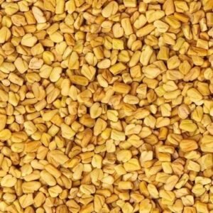 Rajasthan Dark Yellow Fenugreek Seeds Methi Dana