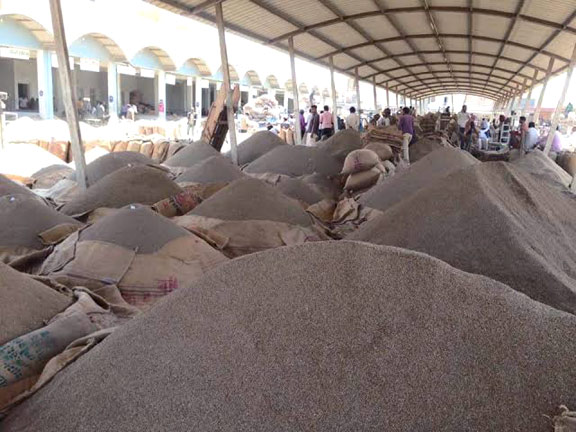 Top 5 Cumin Seeds-Producing Countries Driving Global Jeera Supply