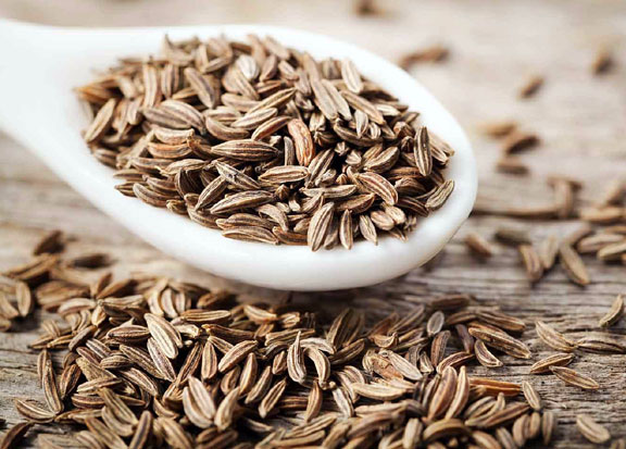 Top-5 Cumin Producing States in India in 2025, Know the Names